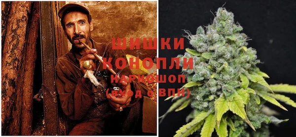 стаф Нягань
